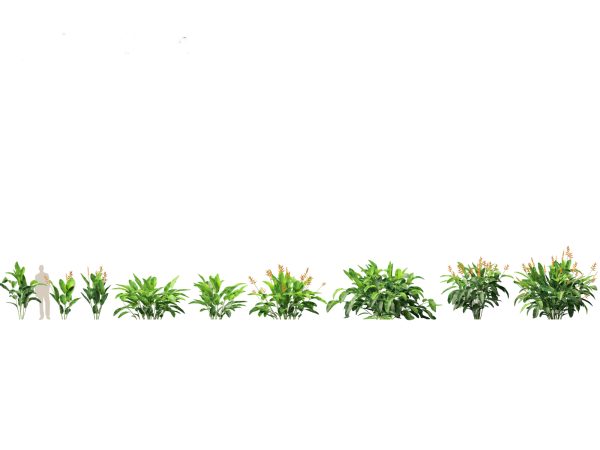 Jungle Foliage Pack 16 - Image 11