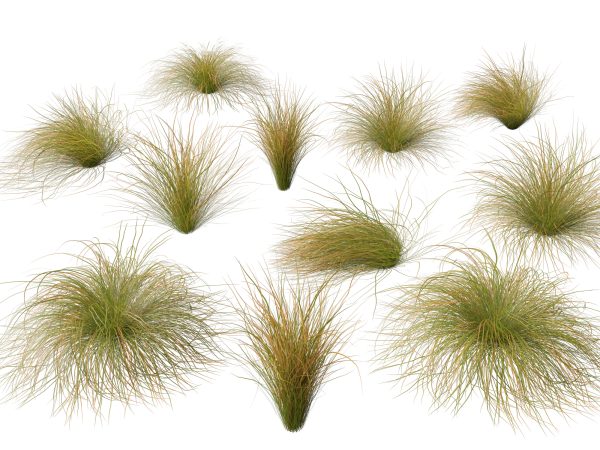 Elegant Bamboo & Grasses Pack 33 - Image 16