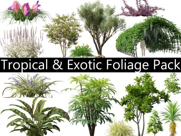 Tropical & Exotic Foliage Pack 49
