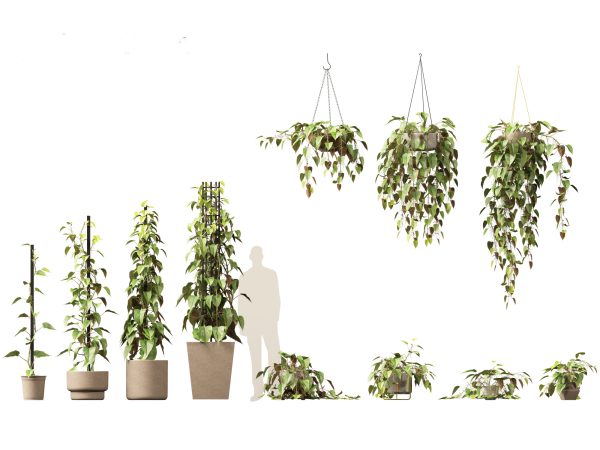 Large Potted Greenery Pack 40 - Image 14
