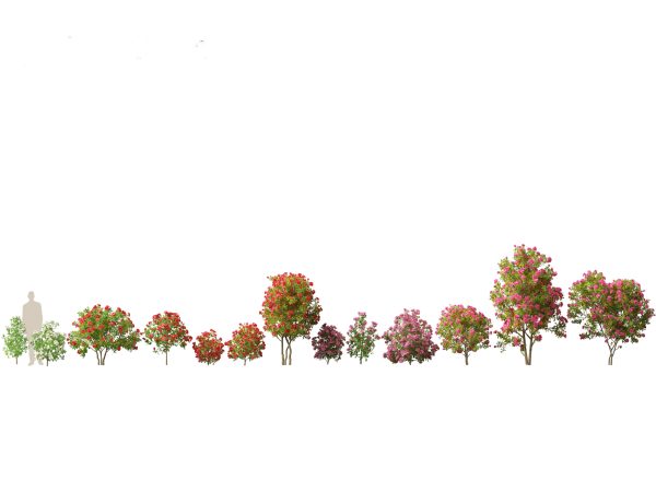 Flowering Shrubs & Blossoms Pack 04 - Image 6