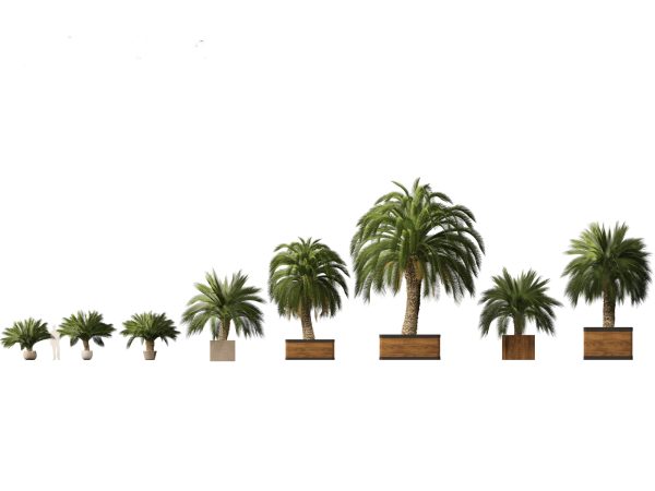 Large Potted Greenery Pack 40 - Image 10