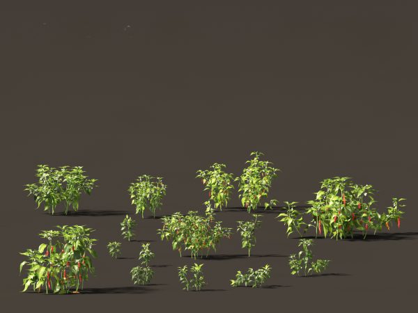 Edible Garden Plants Pack 28 - Image 8