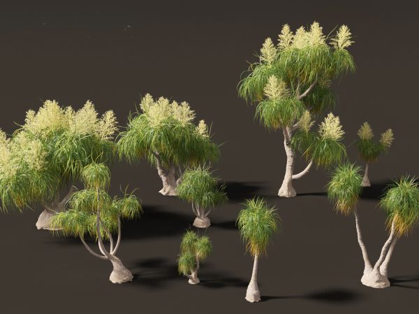 Tropical & Architectural Foliage Pack 51 - Image 21