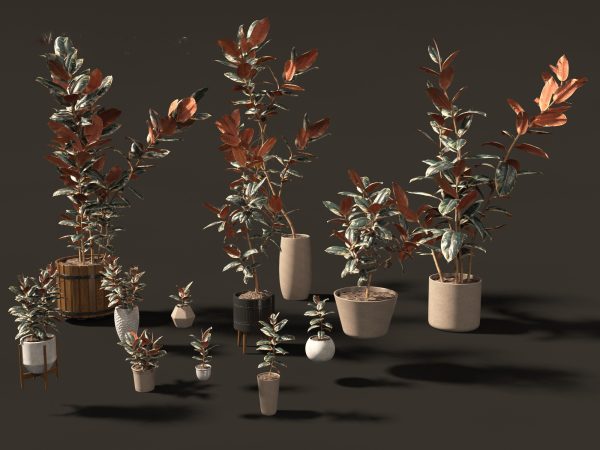 Large Potted Greenery Pack 40 - Image 21