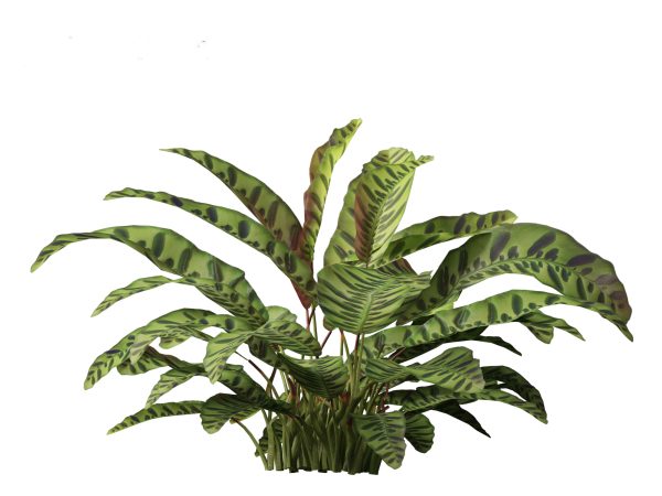 Tropical & Exotic Foliage Pack 49 - Image 3