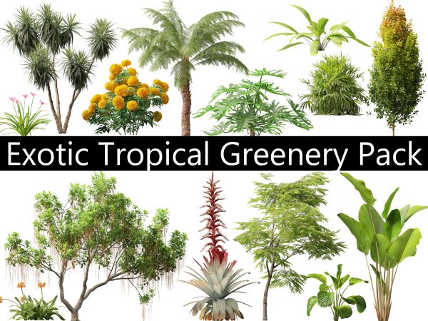 Exotic Tropical Greenery Pack 36
