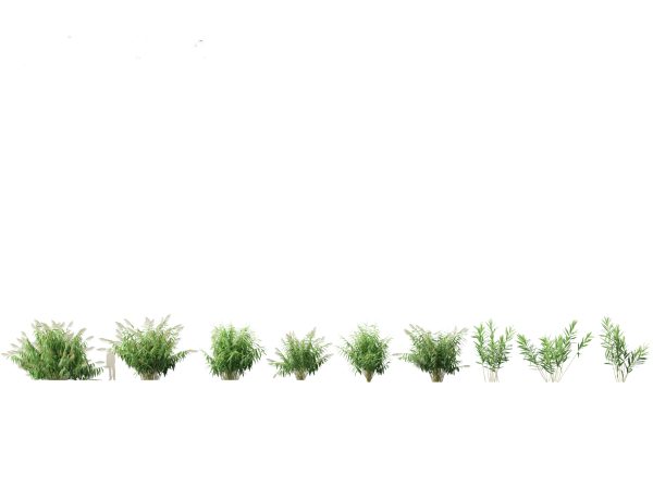 Garden Greenery Essentials Pack 39 - Image 22