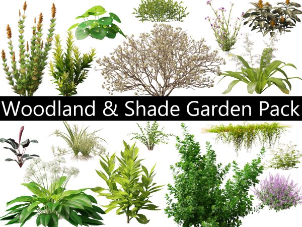 Woodland & Shade Garden Pack 53
