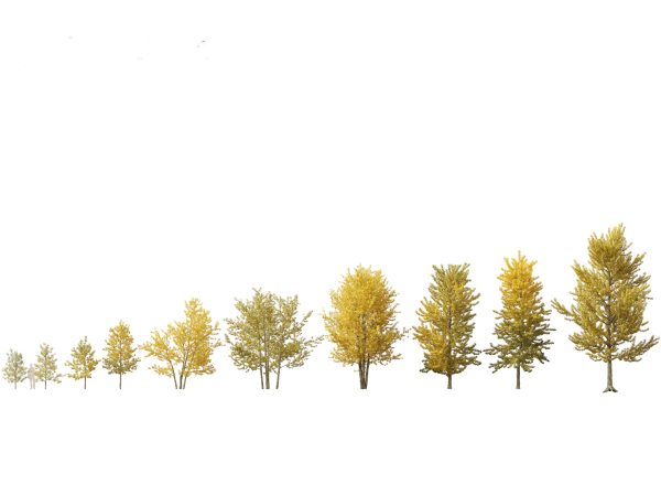 Northern Forest Trees Pack 19 - Image 14