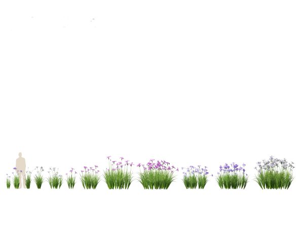 Aquatic & Pond Plants Pack 09 - Image 10
