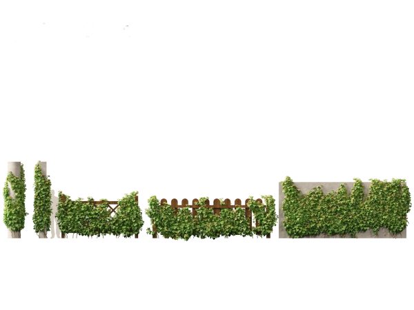 Backyard Garden Essentials Pack 18 - Image 16