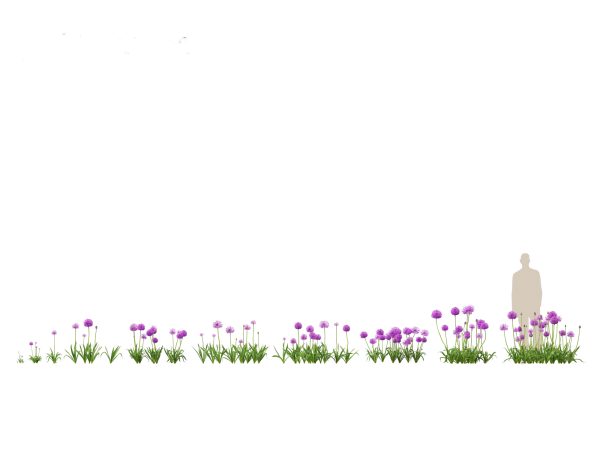 Garden Greenery Essentials Pack 39 - Image 2