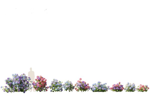 Flowering Shrubs & Blossoms Pack 04 - Image 11