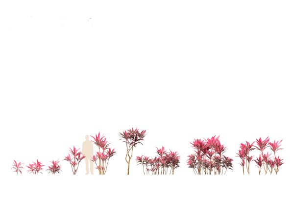 Jungle Foliage Pack 16 - Image 5