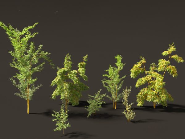 Elegant Bamboo & Grasses Pack 33 - Image 3