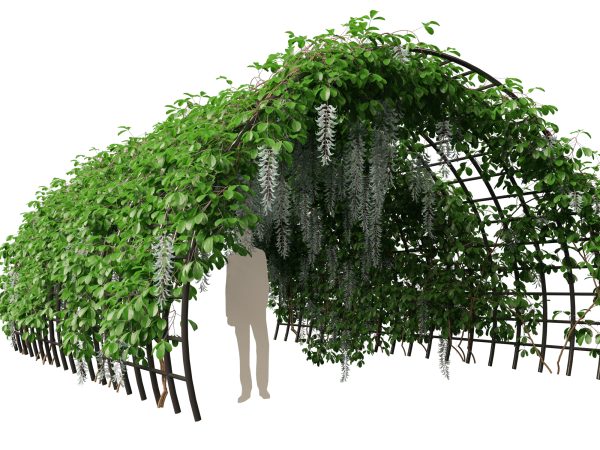 Tropical & Exotic Foliage Pack 49 - Image 22