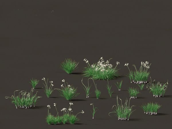 Edible Garden Plants Pack 28 - Image 11