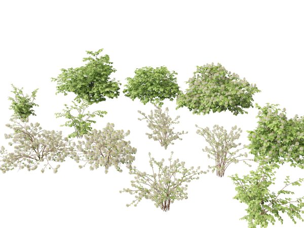 Aquatic & Wetland Plants Pack 45 - Image 5