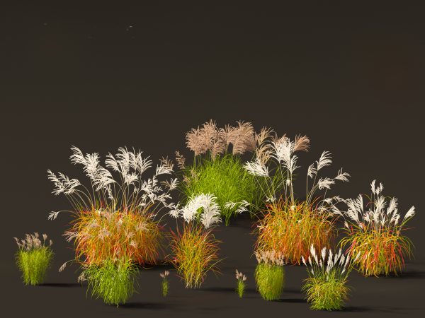 Elegant Garden Grasses Pack 38 - Image 17