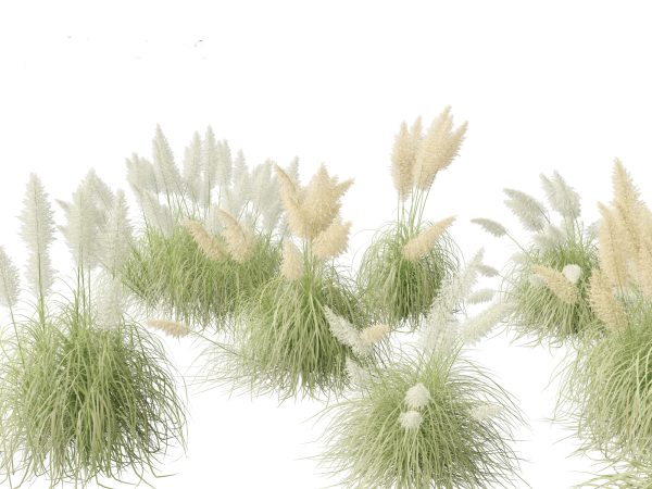 Elegant Garden Grasses Pack 38 - Image 9