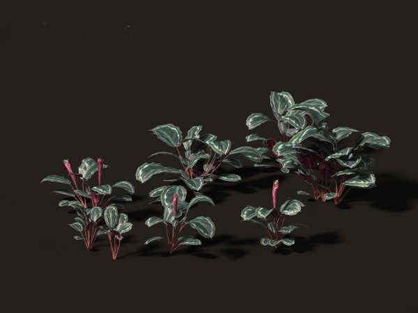 Woodland & Shade Garden Pack 53 - Image 7