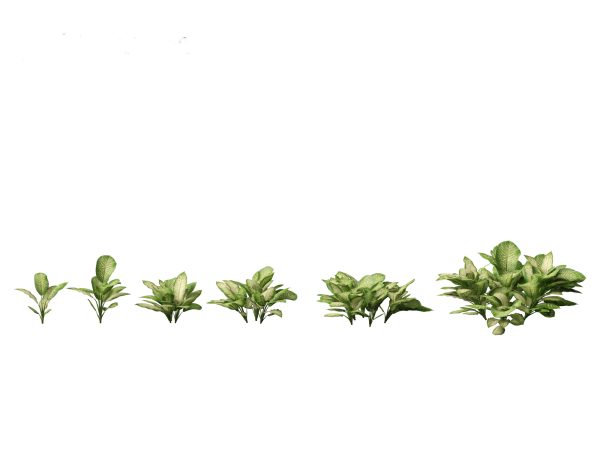 Jungle Foliage Pack 16 - Image 7