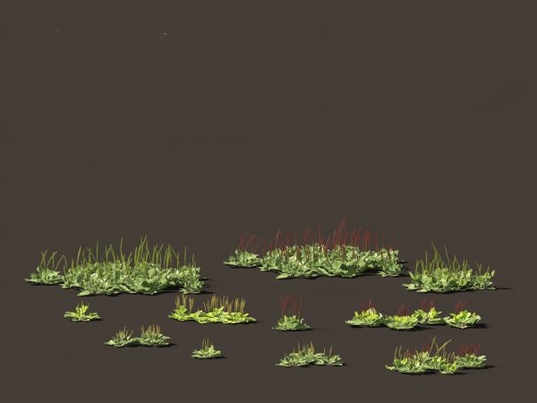 Groundcovers Pack 23 - Image 19