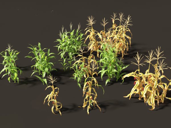 Edible Garden Plants Pack 28 - Image 19