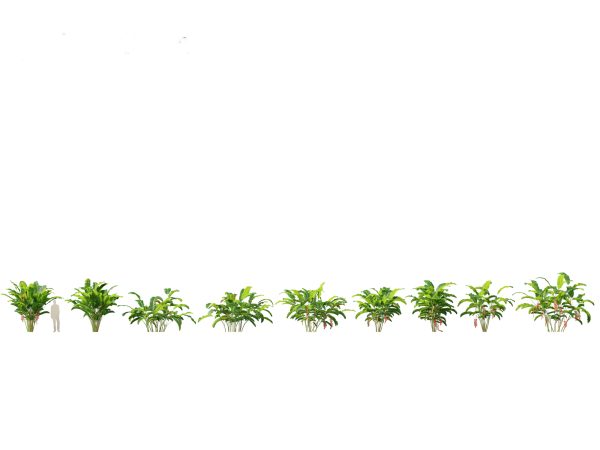 Jungle Foliage Pack 16 - Image 12