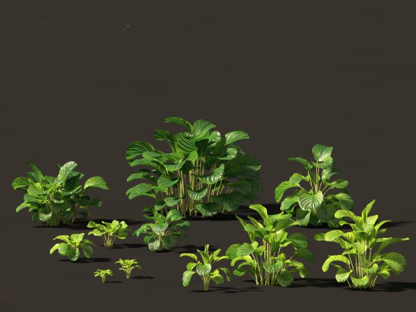Exotic Tropical Greenery Pack 36 - Image 6