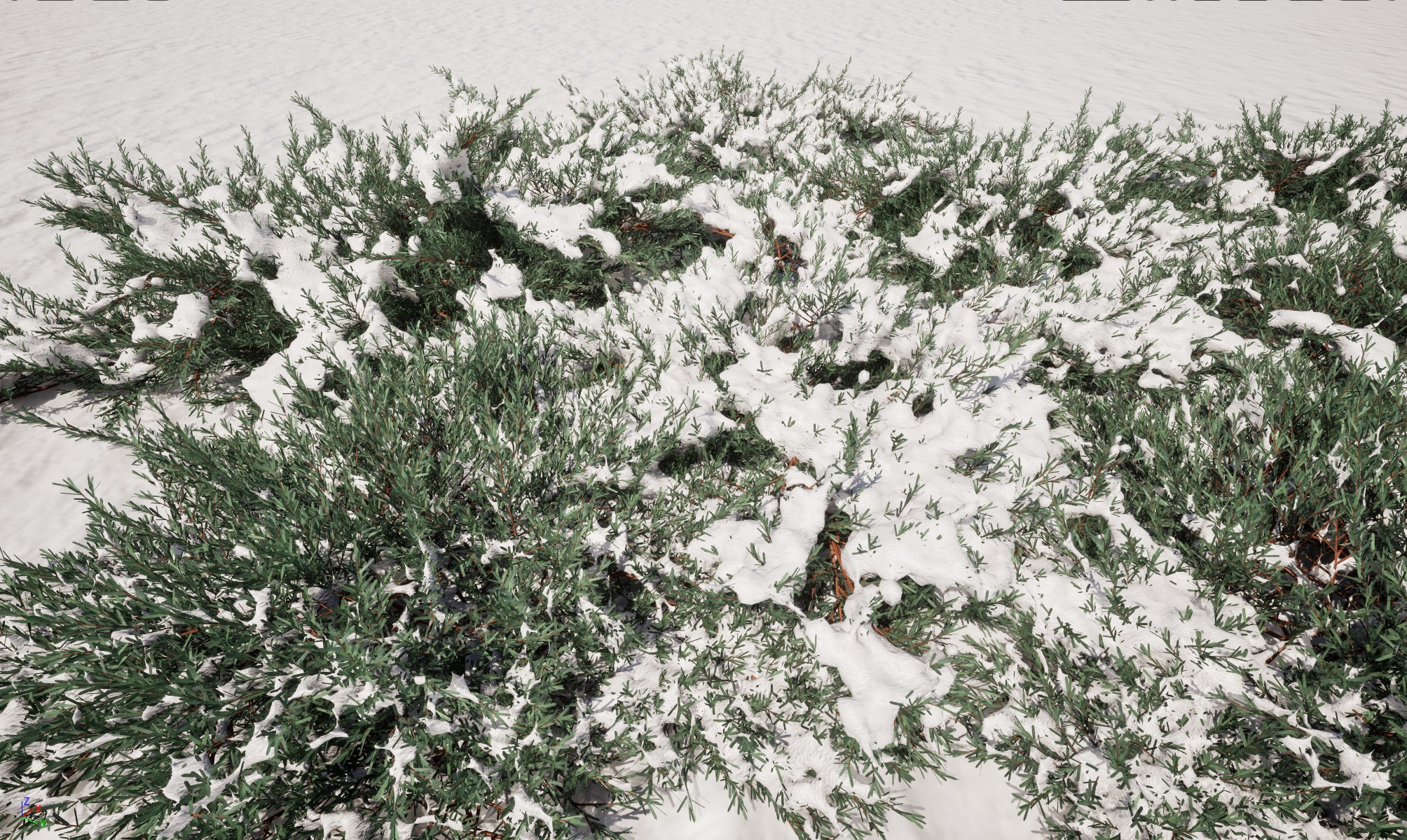 Winter Snow Forest Trees Pack 55 - Image 14