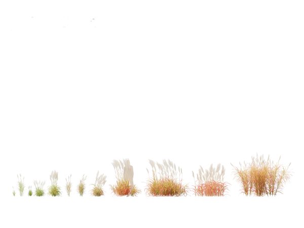 Elegant Bamboo & Grasses Pack 33 - Image 23