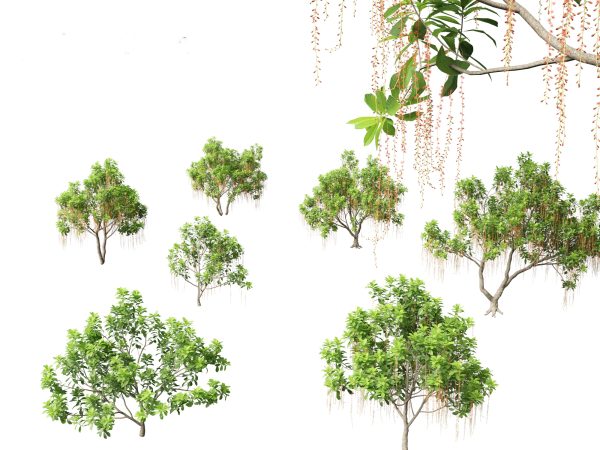 Exotic Tropical Greenery Pack 36 - Image 3