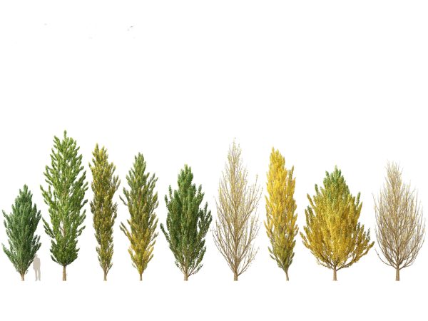Autumn Colors Collection Pack 06 - Image 12