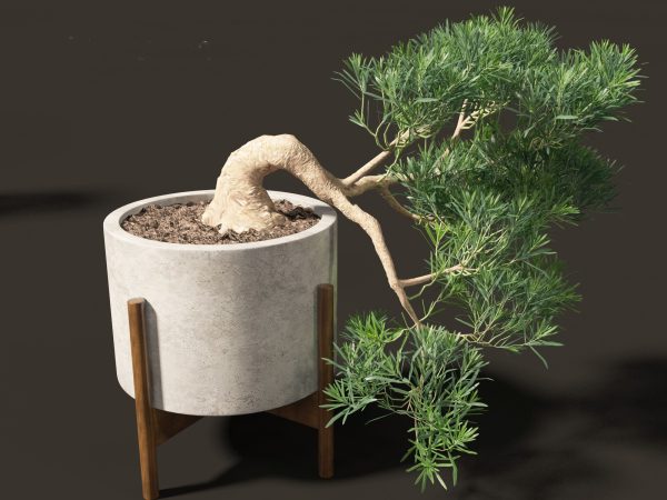 Large Potted Greenery Pack 40 - Image 26