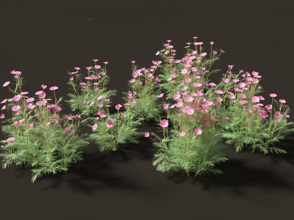 Garden Greenery Essentials Pack 39 - Image 7