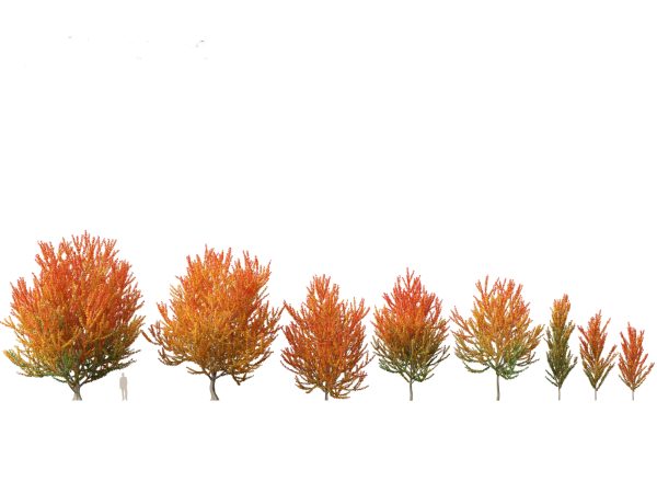 Autumn Colors Collection Pack 06 - Image 5
