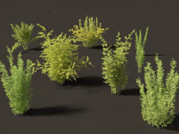 Elegant Bamboo & Grasses Pack 33 - Image 9