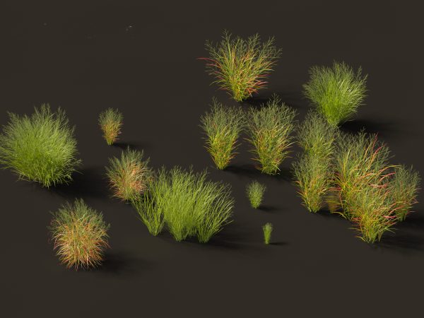 Elegant Garden Grasses Pack 38 - Image 18
