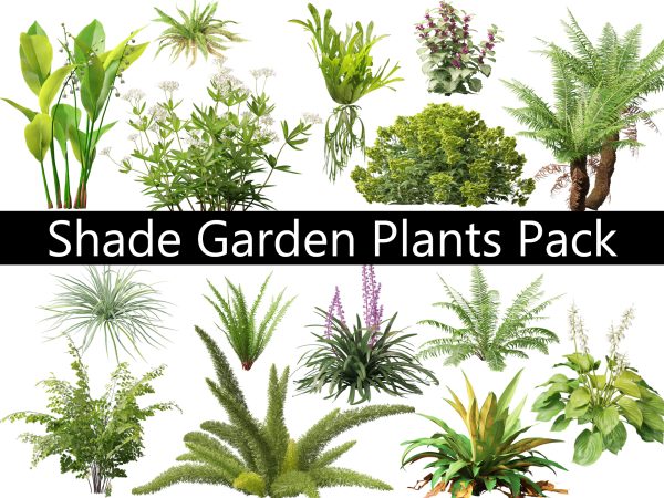 Shade Garden Plants Pack 08