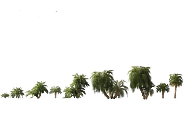 Garden Greenery Essentials Pack 39 - Image 19