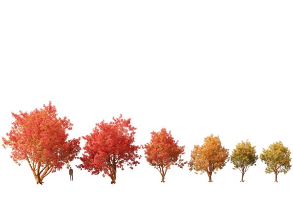 Autumn Colors Collection Pack 06 - Image 2