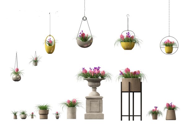 Chic Indoor Potted Plants Pack 27 - Image 18