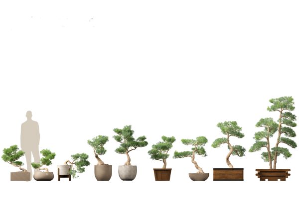 Large Potted Greenery Pack 40 - Image 17