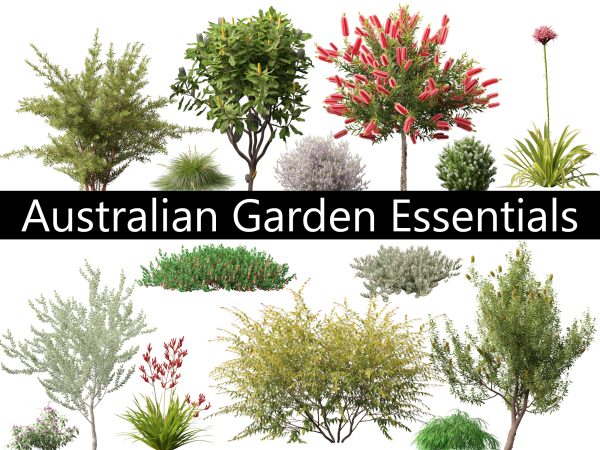 Australian Garden Essentials Pack 30