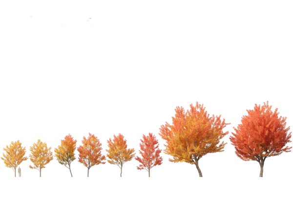 Autumn Colors Collection Pack 06 - Image 4