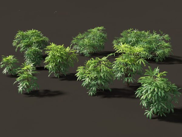 Tropical & Exotic Foliage Pack 49 - Image 5
