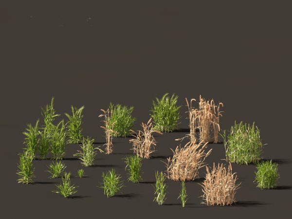 Edible Garden Plants Pack 28 - Image 18