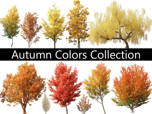 Autumn Colors Collection Pack 06